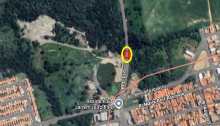 Eucalipto atinge rede elétrica, quebra postes e gera alerta de risco na Cidade de Rio das Pedras/SP