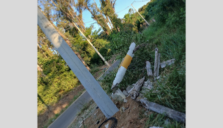 Eucalipto atinge rede elétrica, quebra postes e gera alerta de risco na Cidade de Rio das Pedras/SP