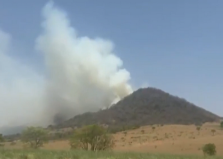 Incêndio de grandes proporções atinge uma área de vegetação entre Ipeúna e Itirapina
