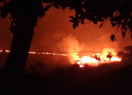 Incêndio de grandes proporções atinge uma área de vegetação entre Ipeúna e Itirapina