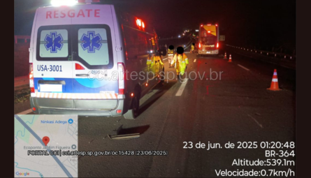 Ônibus com 21 pessoas colide com um bovino na Rodovia Washington Luís SP-310