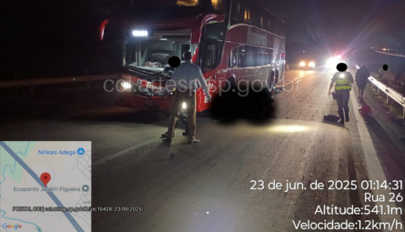  Ônibus com 21 pessoas colide com um bovino na Rodovia Washington Luís SP-310 segunda-feira 23