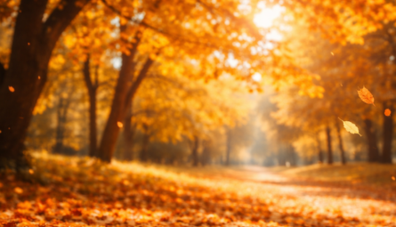 Outono começa em 20 de março e marca virada no clima com queda de temperaturas e avanço do tempo seco