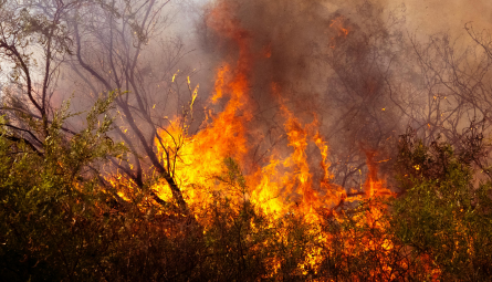 Tempo seco em outubro aumenta riscos de incêndios e queimadas pelo País