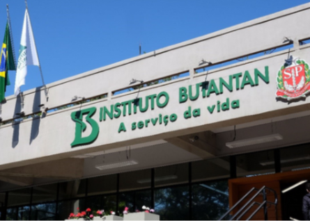 Anvisa aprova vacina contra chikungunya desenvolvida pelo Instituto Butantan em parceria com a Valneva